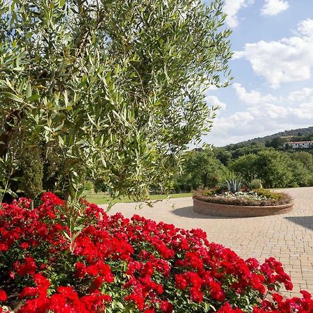 Willa Poggio Pellicciaia Arezzo Zewnętrze zdjęcie